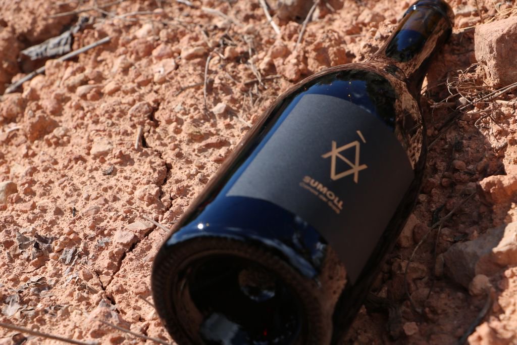 Bodega con valores basados en esfuerzo, calidad y trabajo bien hecho que quiere luchar por la viña y la cultura del vino. <a href="/vinyesdelalba/">Vinyes de l'Albà</a>