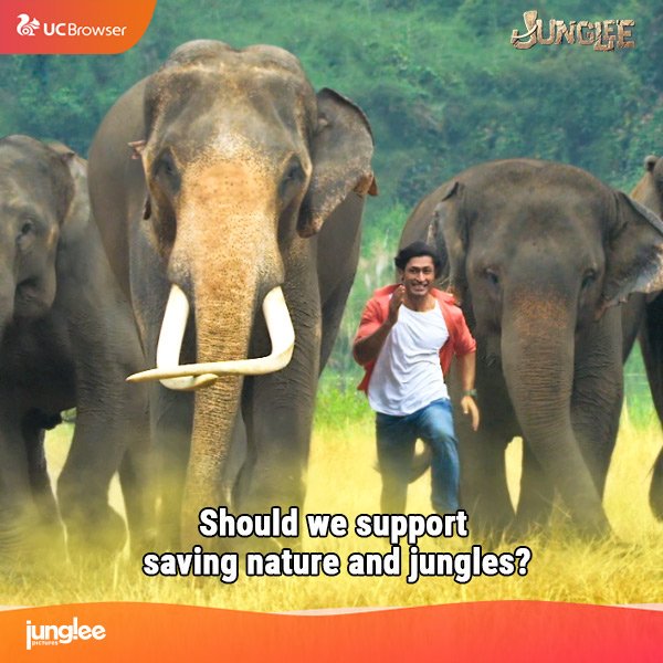 Do you believe that we should take more care of our mother nature? Drop your answers in the comments below.
#Junglee in theatres on 29th March, 2019.
@JungleePictures #ChuckRussell @VidyutJammwal @VidyutJammwalFC @IAmPoojaSawant @StarAshaBhat #UCEntertainment #UCBrowser #UCent