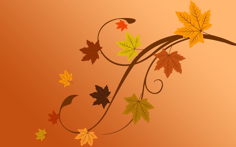 SuperbWallpaper's tweet photo. Tree branch in autumn https://t.co/6p8bY84Cal #wallpaper #HD #vector #autumn #leaf #fall https://t.co/sZaNVlO4HZ