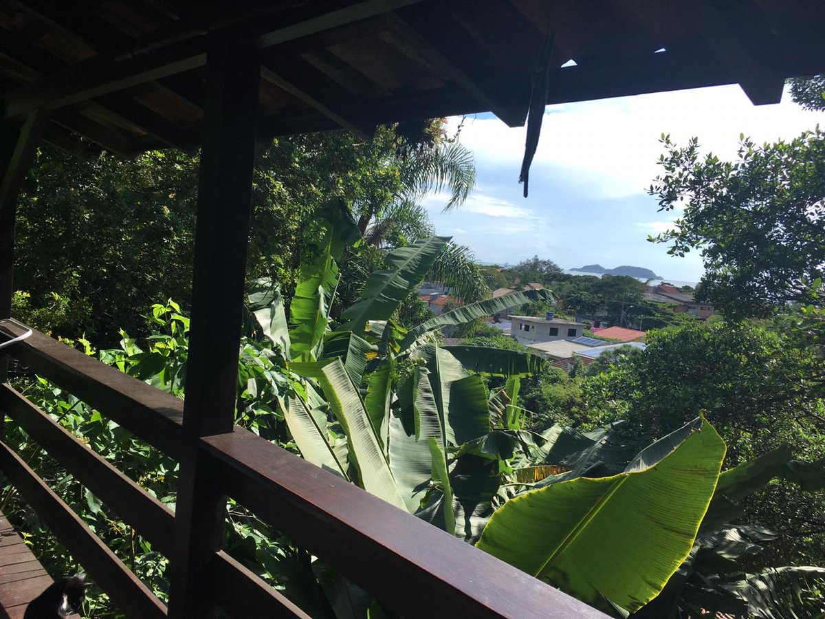 TheGreenStop tweet media