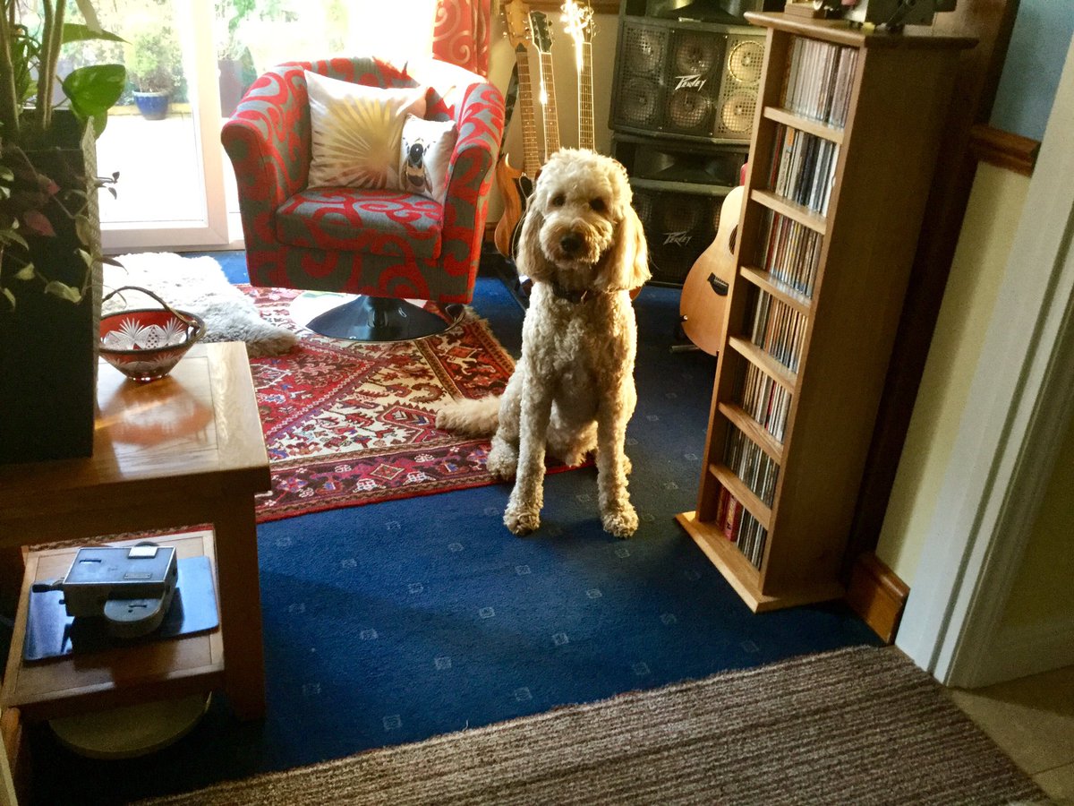 ludoodle's tweet photo. Is it time for dinner yet? https://t.co/1UwiQj0q1X