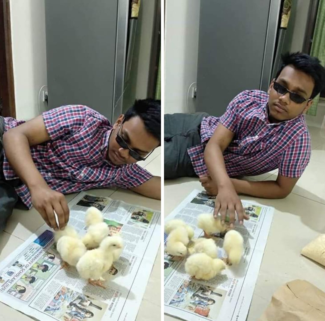 The_Bullah_'s tweet photo. Friend: what's up? 

Me: Chilling with my CHICKS🕺 ⬇⬇ https://t.co/TbKGAuirjp