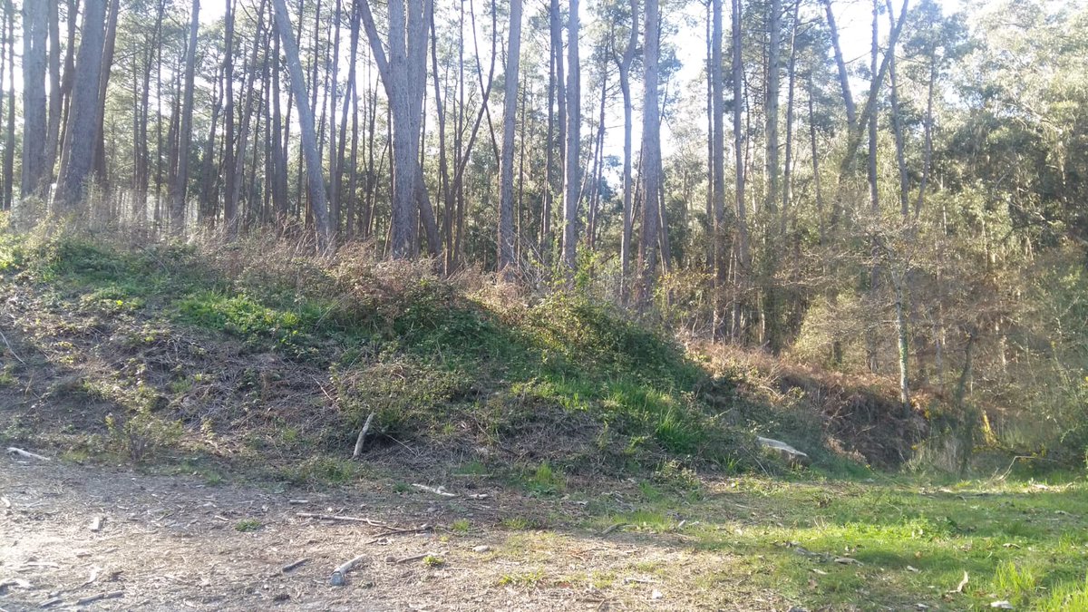 sondolouro's tweet photo. Investíganse os movementos de terras no verquido de lindano de Torneiros https://t.co/U4XaZ7yrgE https://t.co/mENDf6Ce6O