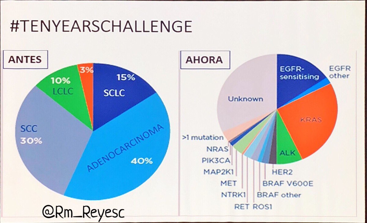 lara_pijuan's tweet image. Great speakers, conferences, cases and wonderful coordinators 👌🏻😊 #Codinglungcancer #MET I loved the #TenYearChallenge slide for #NSCLC by @Rm_Reyesc 🤩🧬 #LCSM #pulmpath