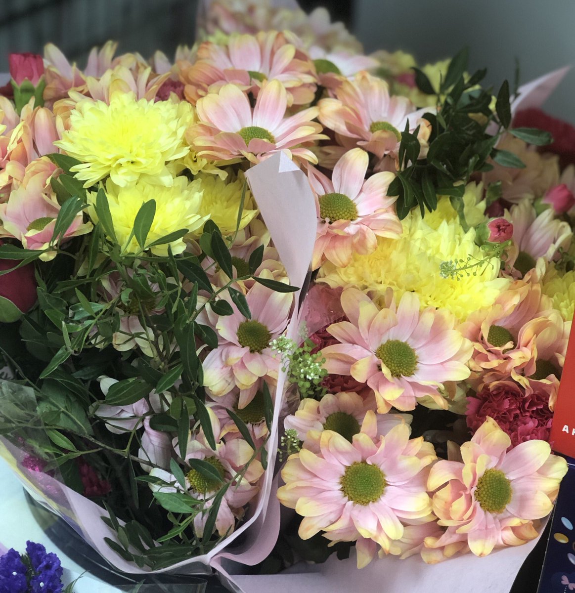 atty1stop's tweet photo. Beautiful #Mothersday2019 https://t.co/0o5t3SxzcI