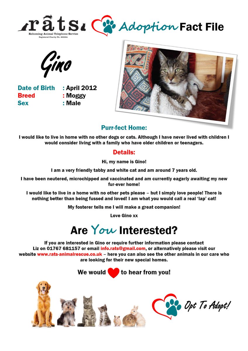 Hi, my name is Gino! I am a very friendly tabby and white #cat and am around 7 years old. I have been neutered, microchipped and vaccinated and am currently eagerly awaiting my new fur-ever home! info.rats@gmail.com #Bedfordshire Please RT