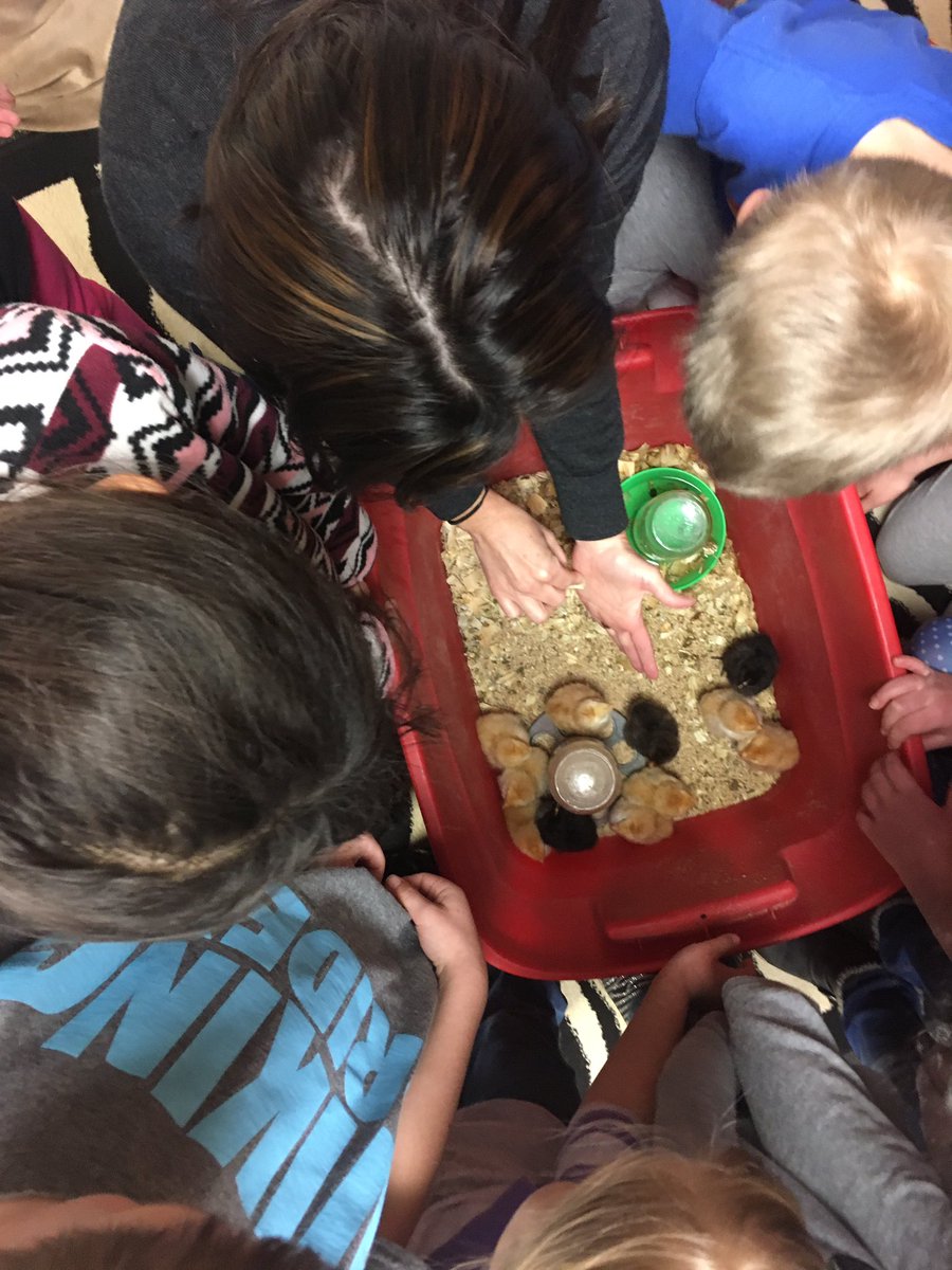 PC kindergarten went to visit  some third grade peeps today. Thank you <a href="/Mrs_Wemhoff/">Mrs. Wemhoff</a> and third grade❤️#lakeviewvikes