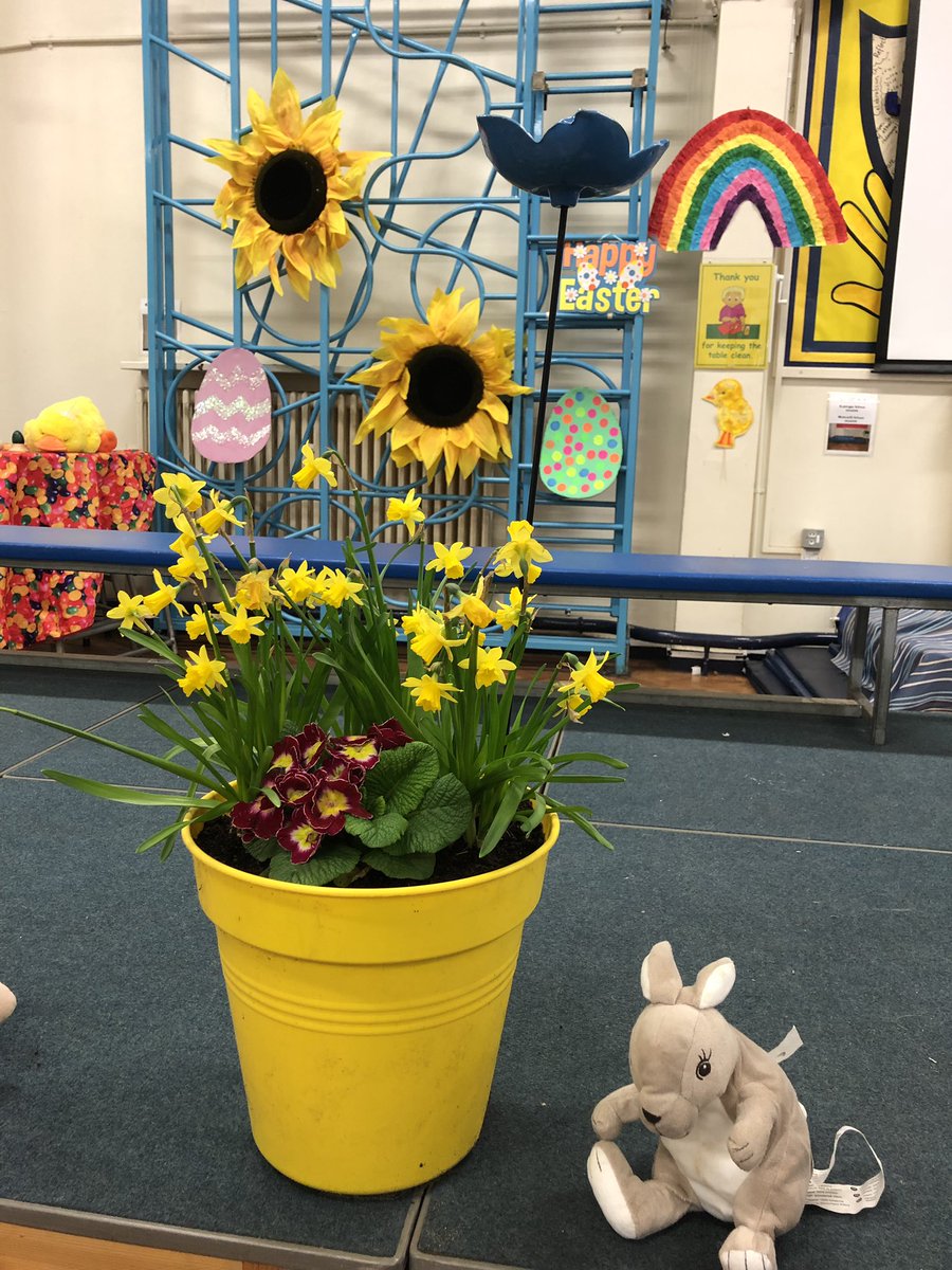 stphilipsrc's tweet photo. The hall is all ready...Nursery are very excited to showcase their beautiful Easter bonnets, rhymes and songs at 9am tomorrow π£πΈπΌπβοΈπ§#itmustbespring #stphilipseyfs https://t.co/rT86hqy4hZ