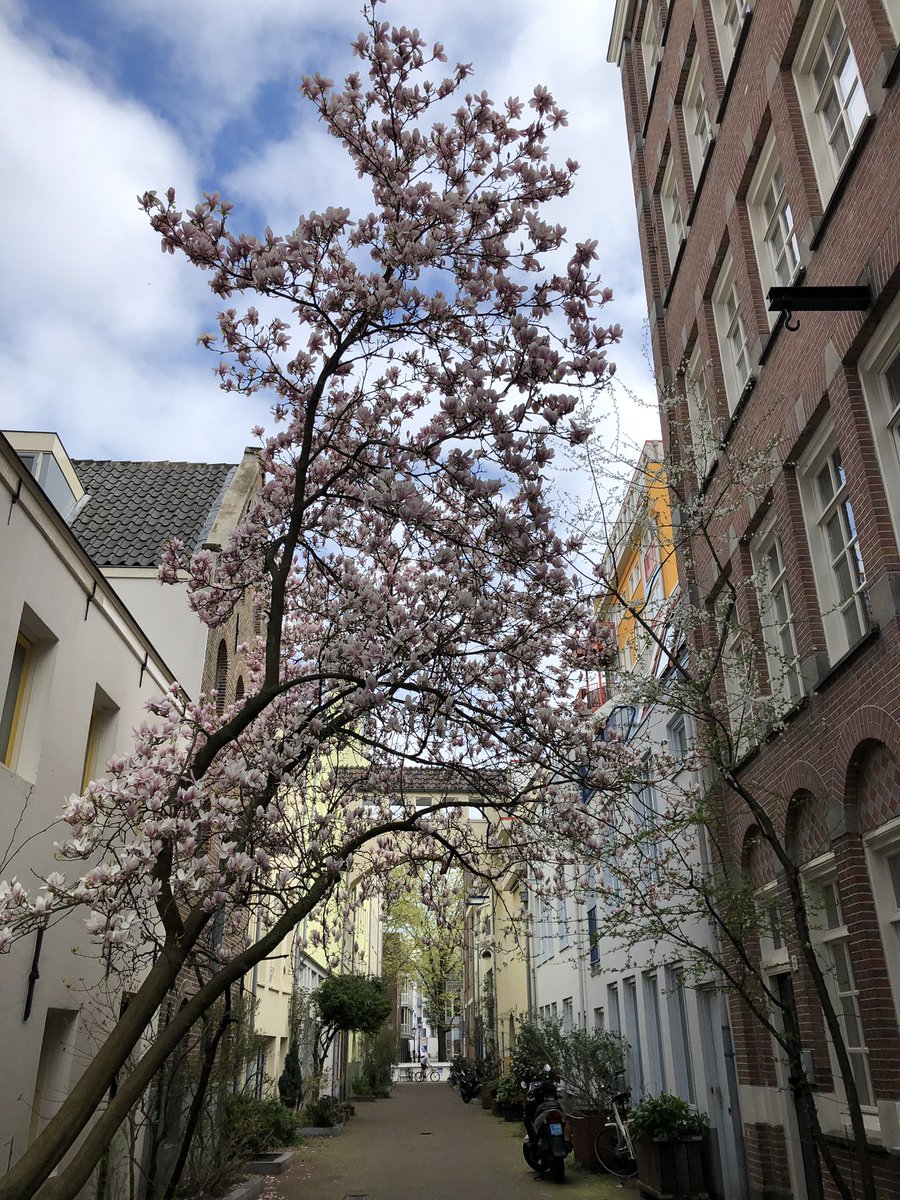 Hels_Bells1's tweet photo. Farewell Amsterdam, you, your food, your flea markets, your parks, your canals, your art and your architecture have all been a delight. I’ve never seen a more beautiful part of a city than the area south of Prinsengracht. #loveeurope https://t.co/CSySTvp7iy