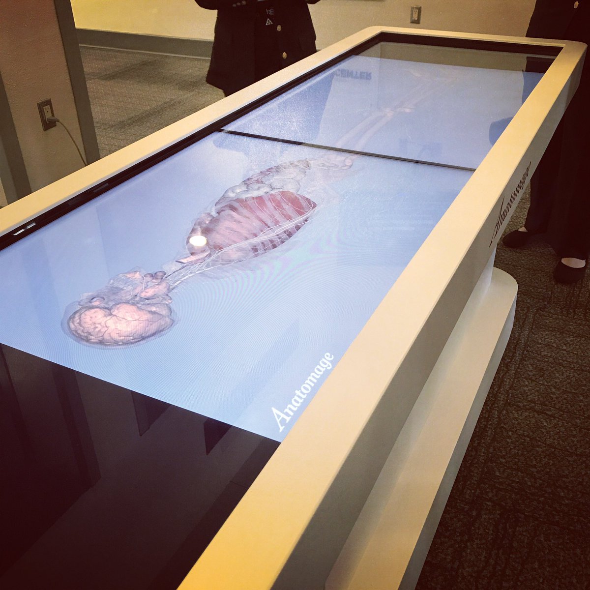 KeelyLewis16's tweet image. #anatomagetable