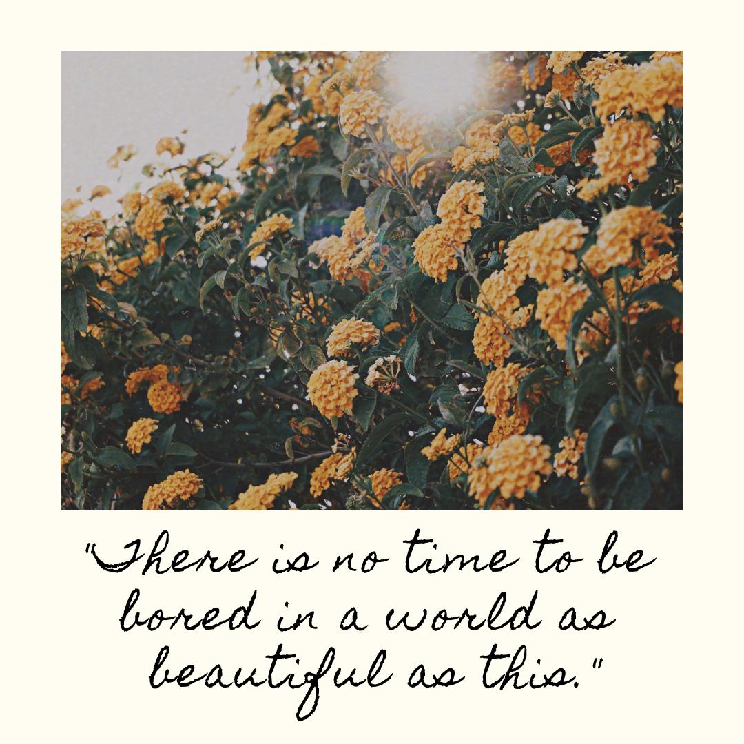 There is so much to see and explore. Talk to us today about planning your next trip!