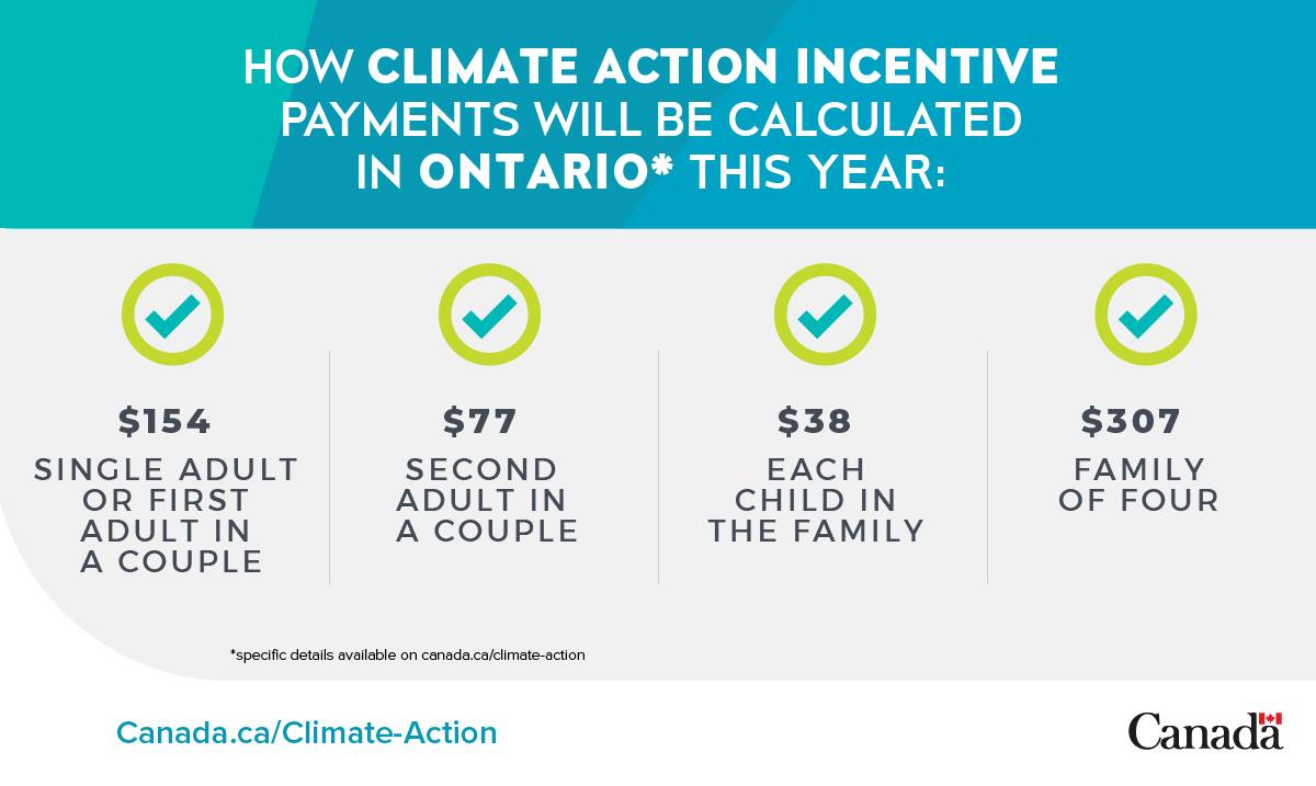 SoftronTax tweet media