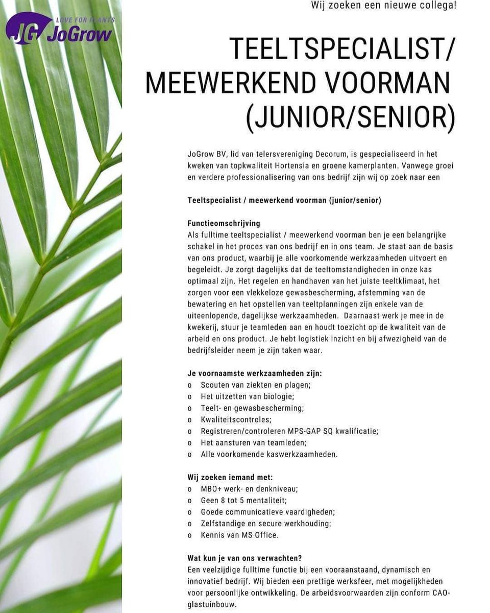 JoGrow groeit! 🌱 wij zijn op zoek naar nieuwe toppers om ons team te versterken! 

#vacature #teeltspecialist #bedrijfsleider #groenevingers #newjob #JoLetsGrow
