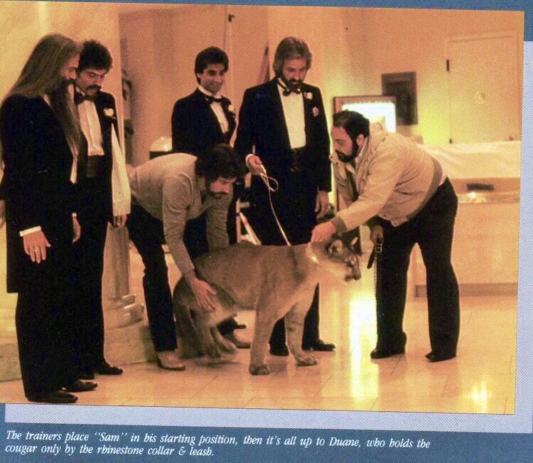 oakridgeboys's tweet photo. Step On Out Album Cover Shoot... circa 1985 #ThrowbackThursday #SamtheCouger #StepOnOut https://t.co/OjitxcB6FJ