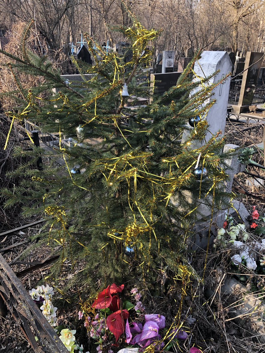 shamantrip's tweet photo. Ёлочки на кладбище украшены и радуют https://t.co/OnotHMIbt5