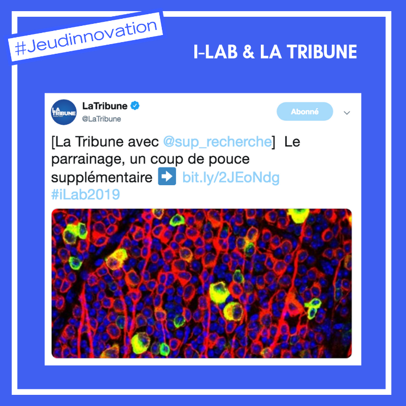 sup_recherche's tweet photo. [#JeudInnovation] Être lauréat "Grand Prix" du concours i-Lab, c'est être accompagné par un parrain, chef d'entreprise du domaine. Exemple avec Tom Shepherd, lauréat #iLab2018 et co-fondateur de Neurophoenix ➡️ https://t.co/detckNvRjV #iLab2019 https://t.co/Neh2F3bV4C