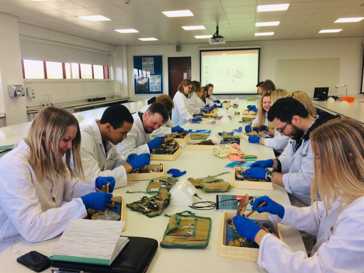 Prof. Michael Sweet (@diseasematters) on Twitter photo Zoology undergraduates <a href="/DerbyUni/">University of Derby</a> getting their hands on various crustacea in our module ‘Invertebrates’ Zoology undergraduates <a href="/DerbyUni/">University of Derby</a> getting their hands on various crustacea in our module ‘Invertebrates’