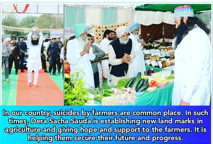 InsanKmr's tweet photo. #सच्चा_दान
#AgriTipsByStRamRahim
#Farmers
#SaveFarmers
#Agriculture
#Agriculture_Techniques
#ScientificFarmingTipsByStMSG
#KisanMela
#SaintDrGurmeetRamRahimSinghJi
#DeraSachaSauda
#GurmeetRamRahim
#SaintMSG
#BabaRamRahim https://t.co/ewYgysm76e