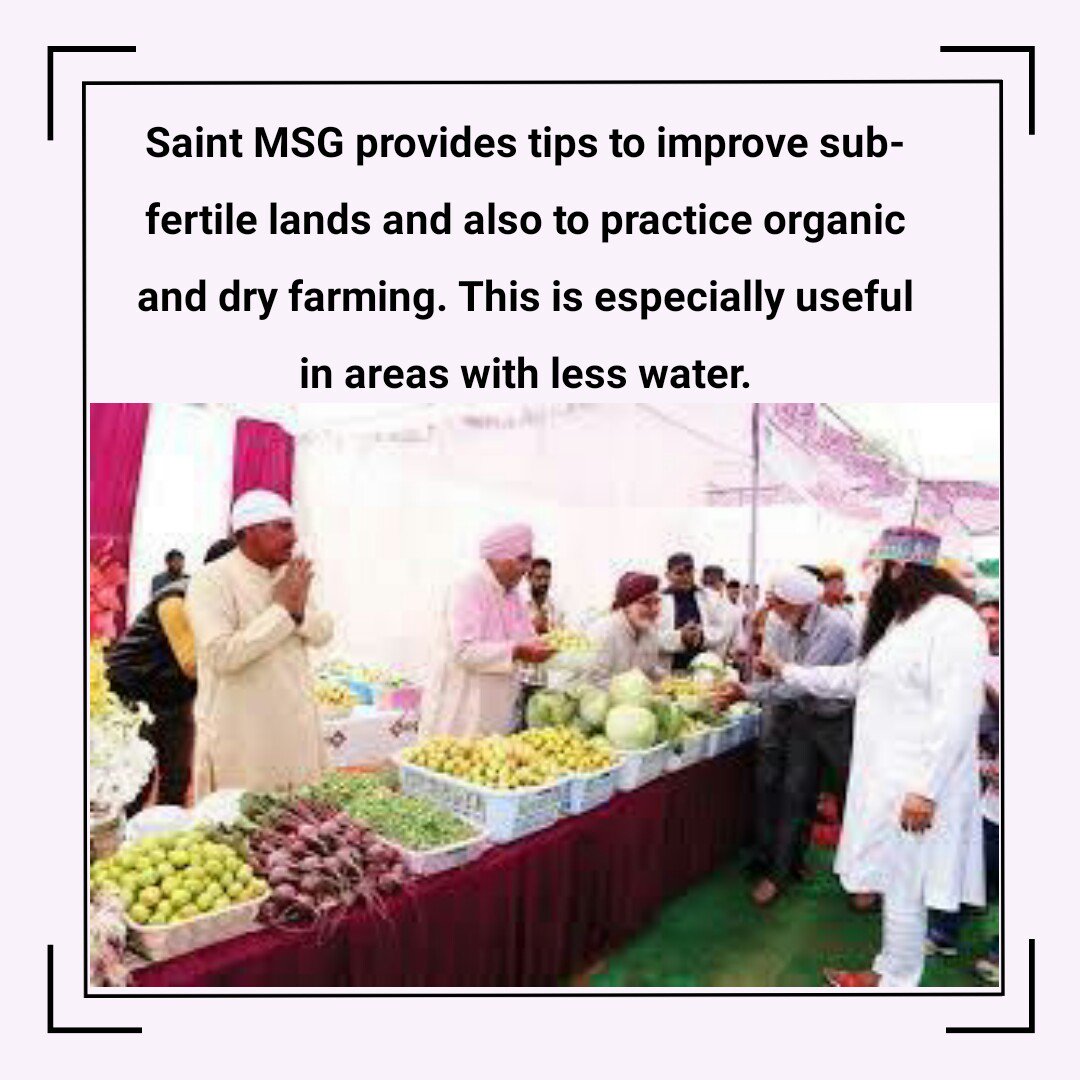 InsanKmr's tweet photo. #सच्चा_दान
#AgriTipsByStRamRahim
#Farmers
#SaveFarmers
#Agriculture
#Agriculture_Techniques
#ScientificFarmingTipsByStMSG
#KisanMela
#SaintDrGurmeetRamRahimSinghJi
#DeraSachaSauda
#GurmeetRamRahim
#SaintMSG
#BabaRamRahim https://t.co/3lcwH2GYDD