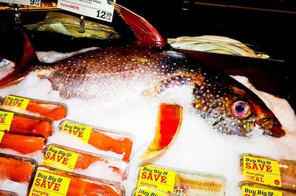 meathead's tweet photo. What if that "salmon" on your plate is not salmon? Oceana, an ocean conservation nonprofit, found that 20% of fish they ordered and lab tested were entirely different species than indicated on the label. In a global economy, how can we solve this problem? https://t.co/07MiU3GK6w https://t.co/mxN1zpYTT2