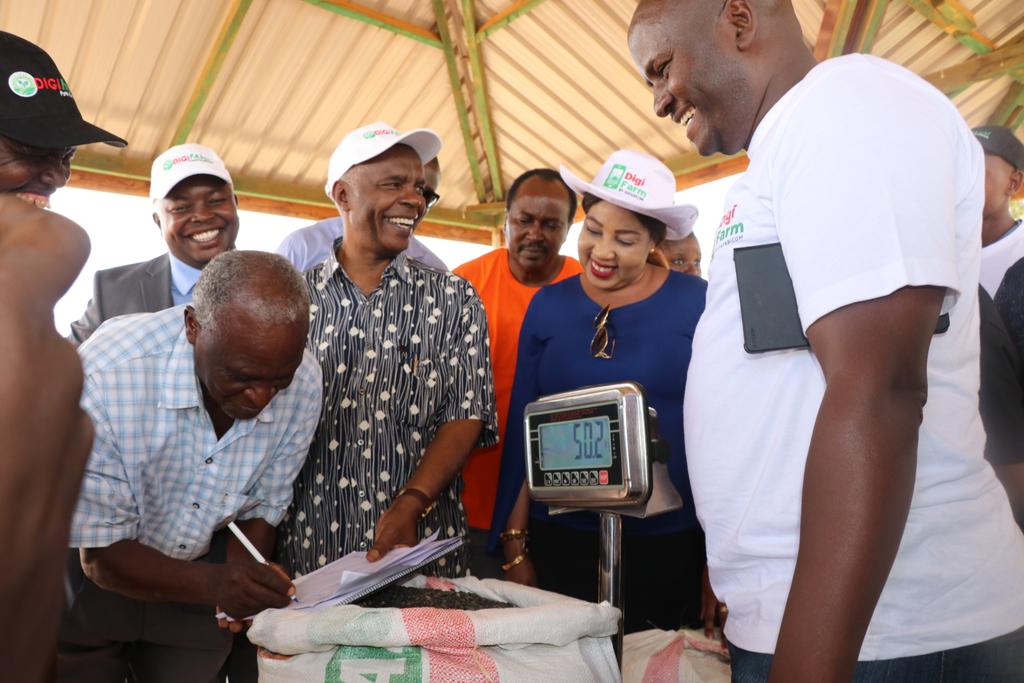 ProfKibwana's tweet photo. Today marks an important day for our farmers. Joined by @SafaricomPLC Director for Enterprise Business Rita Okuthe and @BidcoGroup head of Agribusiness John Kariuki, we flagged off purchase of Sunflower seeds from the farmers. Makueni will supply 2,000 tonnes of seeds to  Bidco https://t.co/xdG8S6vSiq