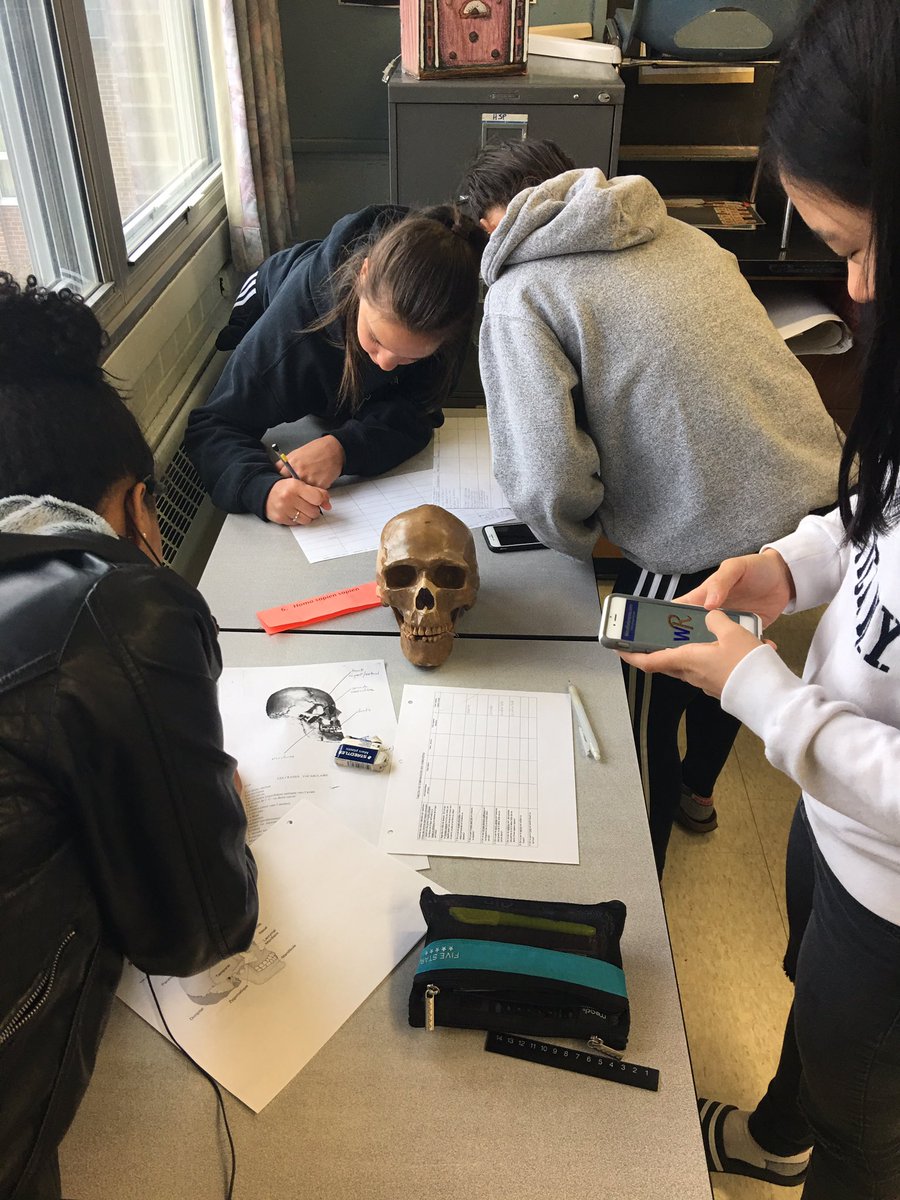 Colleen Farrell tweet media