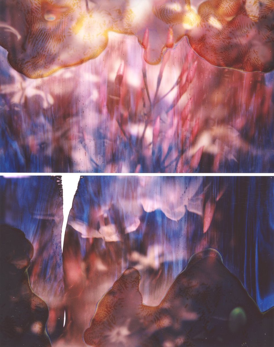 benprks's tweet image. #polaroid110 #4X5conversion #fujifilm #instax @instaxHQ