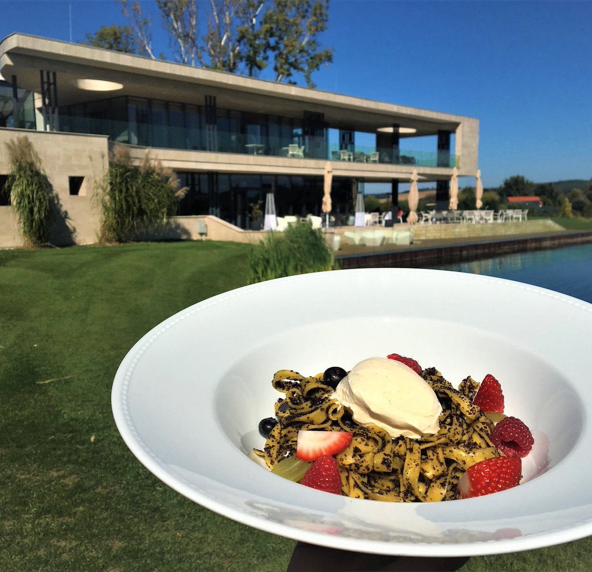 🍒🍨🍨New favorite! 🍓🍒🍨🍨 POPPY SEED PASTA
with vanilla ice cream and fruits :) 
#zalasprings #zalaspringsgolfresort #zalaspringsbistro #zalaspringsmenu #zalaspringsgolf #sztanaferenc #sztanaferencséf