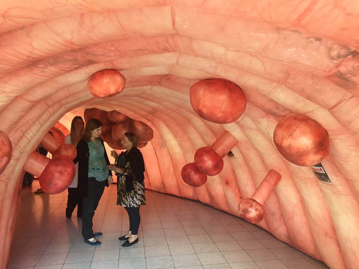 Comisión contra el Cáncer tweet media