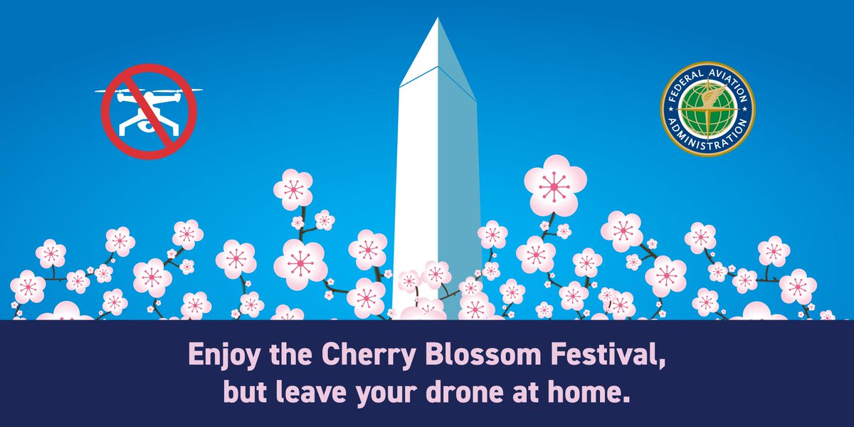 FAANews's tweet photo. It’s a sunny day ☀️ in Washington, D.C. and the peak time for seeing the cherry blossoms during the @CherryBlossFest is fast approaching! Please remember that #WashingtonDC is a #NoDroneZone and leave your #drone at home. https://t.co/MyQQdBUYJs #FlySafe https://t.co/8efJ2Lwu2D