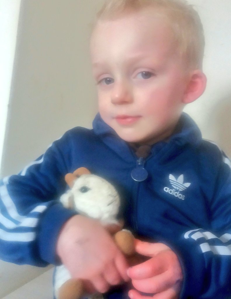 This is my son, he has autism,  he lost bestmate billy the goat on the 9:02am train from London lpool street too Ipswich 
He is so upset so with the power off twitter, was wondering if we could try get it back? Maybe a RT 😊 
Thank you from Danny Sr and Danny jr #ITFC