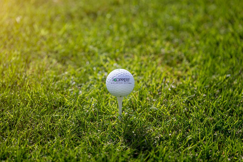 Koppert_France's tweet photo. #NatuGro en #gazon, sur #golf ça vous parle? On poursuit les partages d'expériences avec notre série spéciale "la parole à" dans le sud-ouest. Le point avec Christophe Luro, Golf de la Nivelle à #Ciboure. https://t.co/GPcl6Ntkgr #partnerswithnature #biosolutions @AdrienLauberton https://t.co/JfExLNEHzr