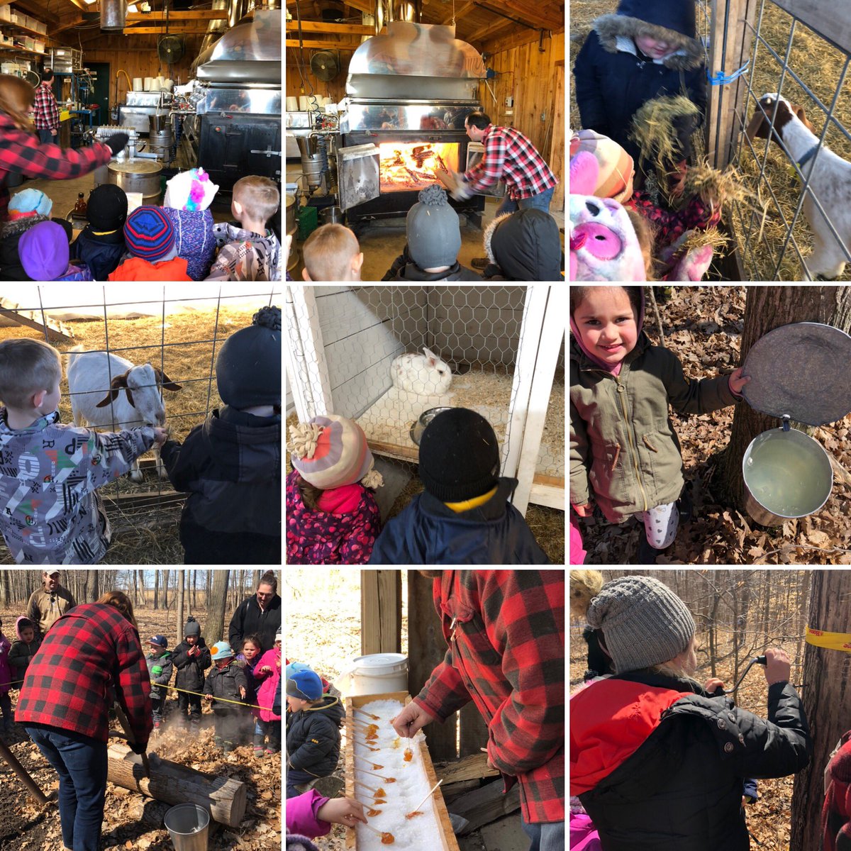 katherine_read's tweet photo. We enjoyed the beautiful spring day at the Sugar Bush learning about sap collection and making maple syrup. @merritt_ps https://t.co/oflG3hPiqi