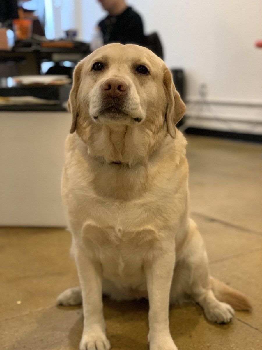 phase2's tweet photo. Client services specialist Bailey, contemplates #Agile vs. #Waterfall in our New York office today.

cc: @ncopps115 https://t.co/ceR7s4ZbJ4