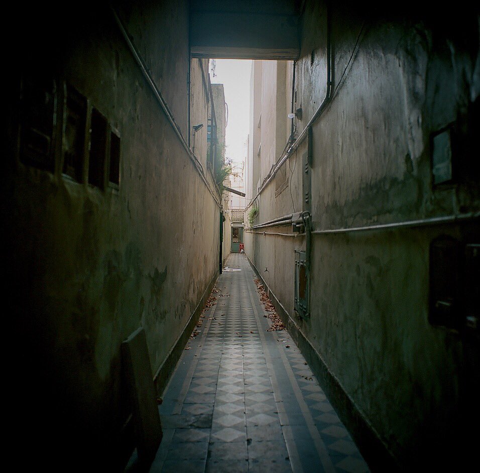First Exposures tweet media