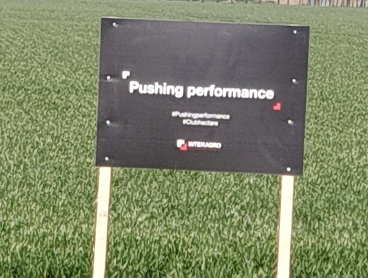 sunkfarmer's tweet image. #clubhectare #pushingperformance with the help and knowledge from @InteragroUK @russbmckenzie take note of the colour of the wheat this 1st wheat #grafton hasn't had any nitrogen as yet #NsensorSaysNo