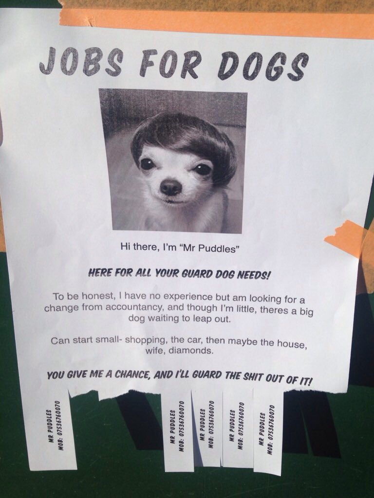 HighburyIsLivin's tweet photo. 'Jobs For Dogs' ??? What's happening in #Highbury #Islington ? https://t.co/bTST97Y8lG