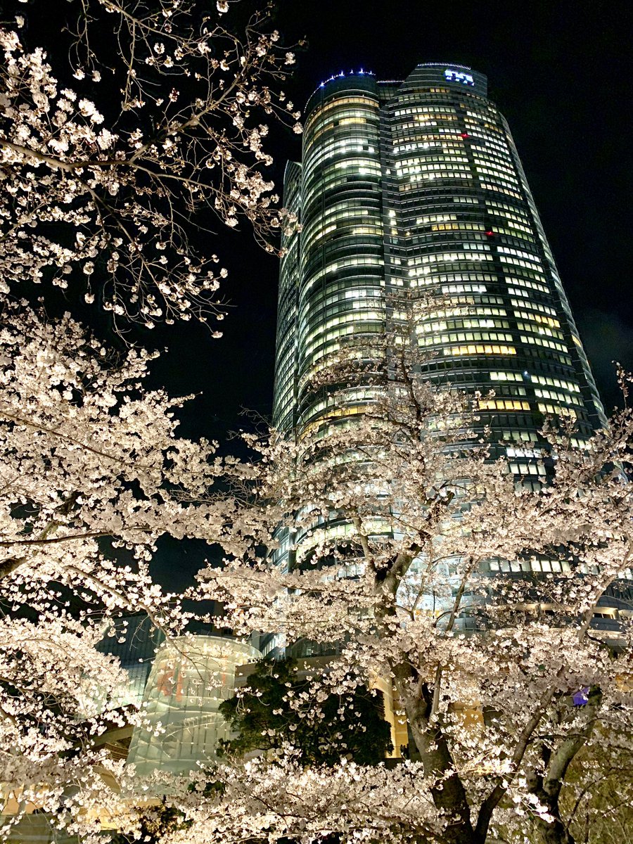 今日は代々木公園、小石川後楽園、東京ミッドタウン、六本木ヒルズと回ってきました。明日はどこ行こうかな。 