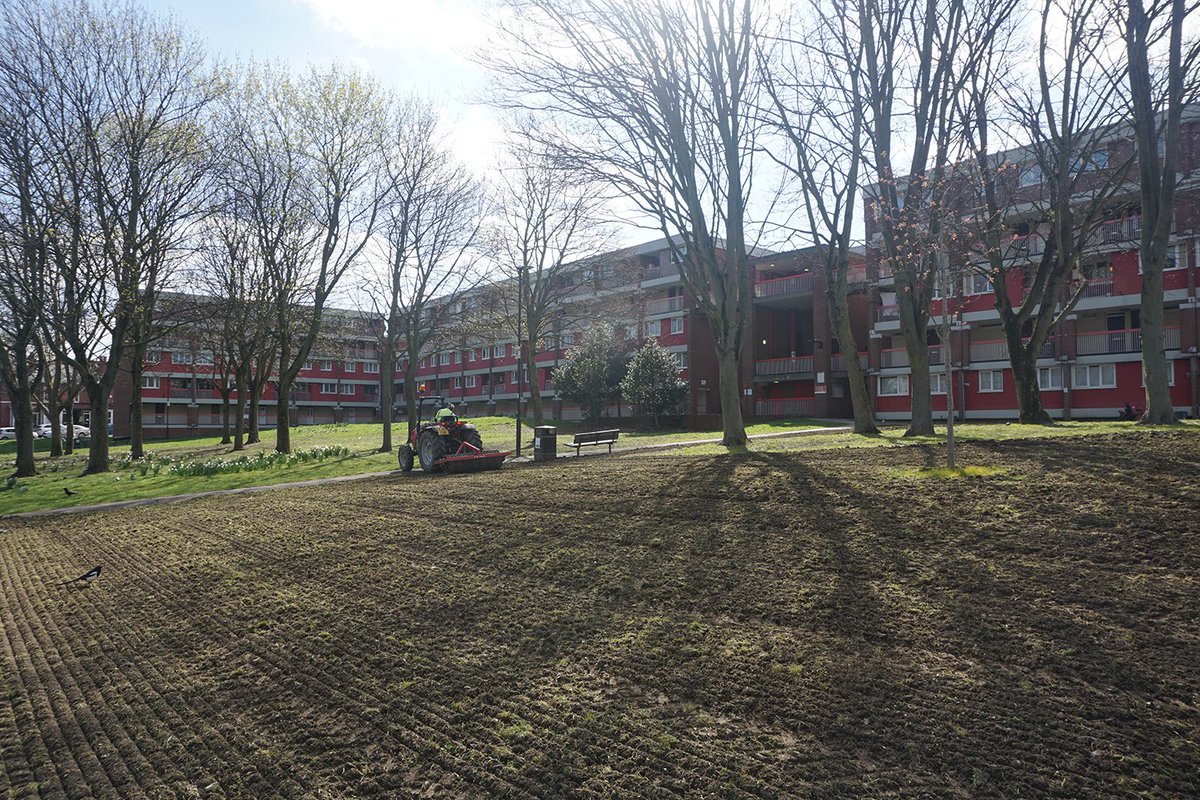 A new #meadow being sown for the Lansdowne Estate in #Sheffield, a fantastic project led by the tenants and residents of the local area.

@LansTARA #Meadows #WildflowerMeadows #WildFlowers #MadeInSheffield #PictorialMeadows