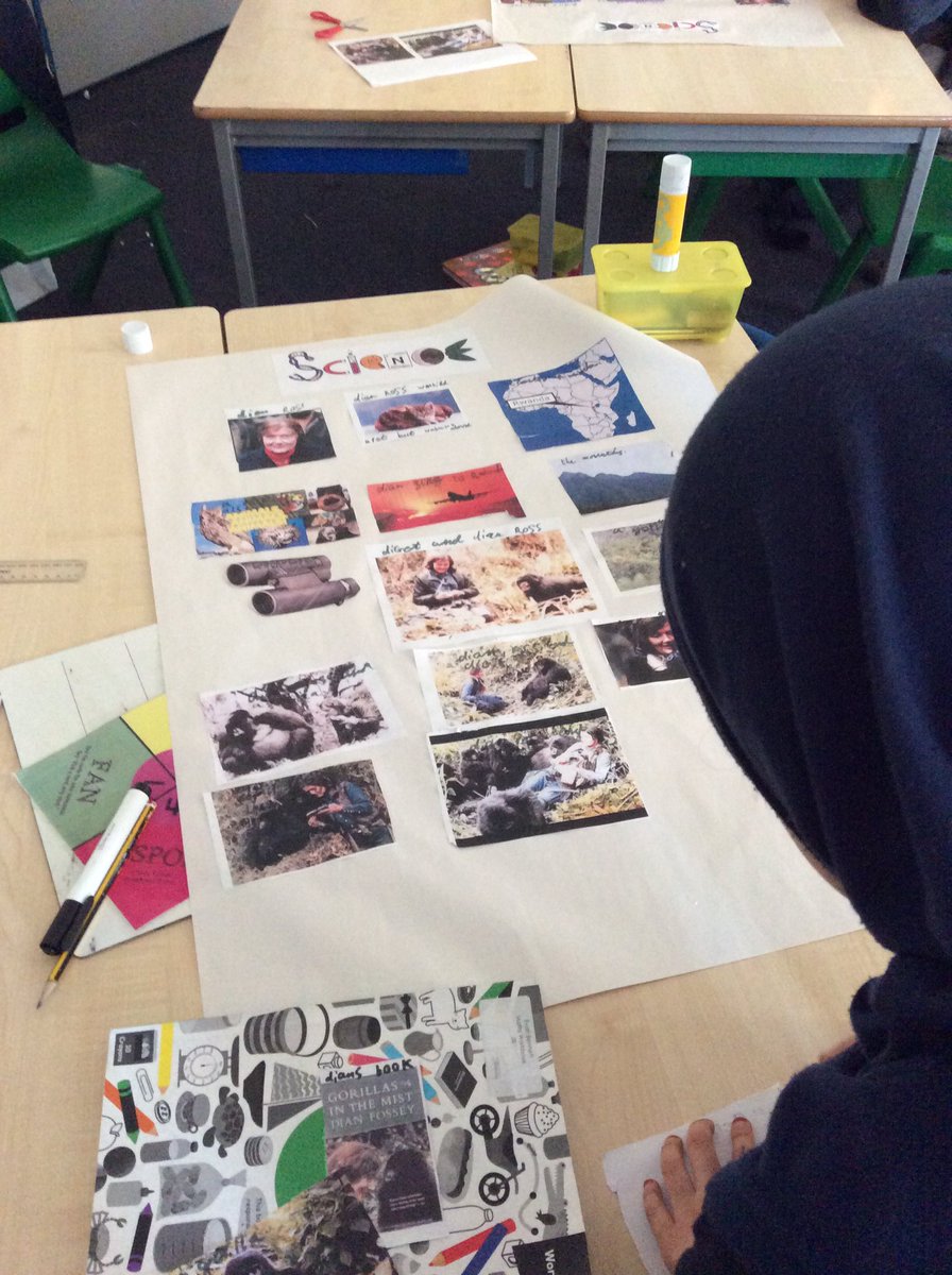 Missbudsworth's tweet photo. We are celebrating Dian Fossey, for women in science, in class 3B! 👩🏻‍🔬 https://t.co/K1DfiupJ5c