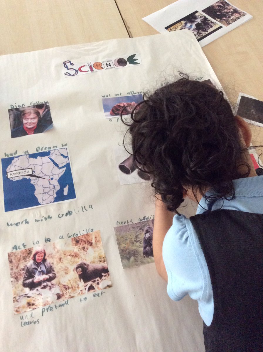 Missbudsworth's tweet photo. We are celebrating Dian Fossey, for women in science, in class 3B! 👩🏻‍🔬 https://t.co/K1DfiupJ5c