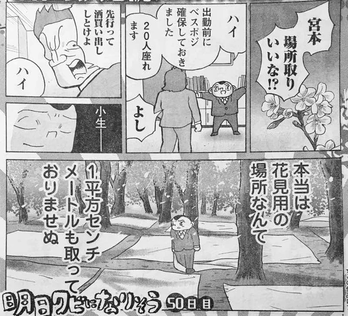 ヤングチャンピオン連載「明日クビになりそう」今号は花見の場所取りの話です。 