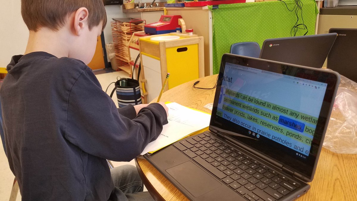 slonean's tweet photo. Everything is for the birds today, but far from boring!  K Ss visited the @CornellBirds site to research their bird's habitat, used the #ReadandWrite tool to listen to the paragraph, + zoomed in on words using 2 fingers to copy the text! #K2CanToo @texthelp #YSDMindset @VESYork https://t.co/KL5diH0aR2
