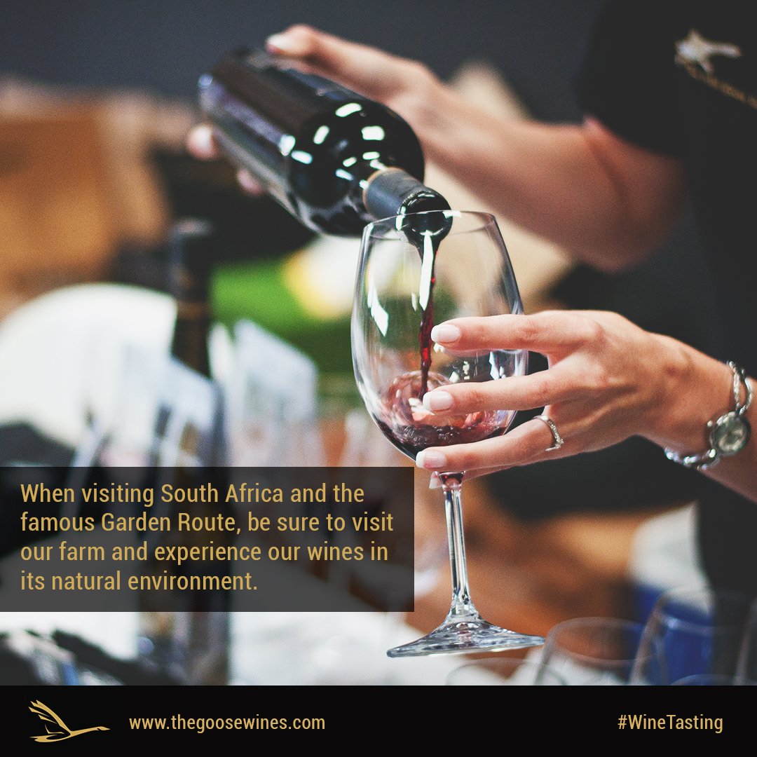 You can experience the uniqueness of a micro-climate region by visiting our farm and tasting our wines here in sunny South Africa.  Be sure to make a booking. #Wine #SAWines #WinesOfTheWorld #InstaWine #TheGoose  #TheGooseWines  #WineFact #TheGooseWines ow.ly/ZfOP30ocOsh