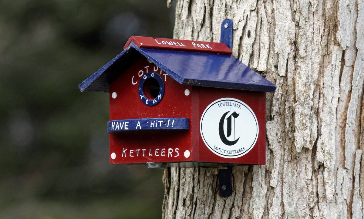 CotuitKettleers's tweet photo. Still waiting for our first avian fan to take up residence in our custom Kettleers bird house at Lowell Park. #HeyHeyCotuit #HaveAHit https://t.co/Vu2VRDrKGS