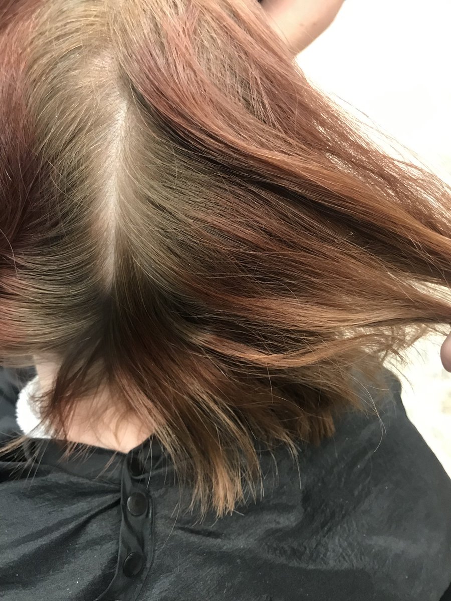 faustinstitute's tweet photo. 🎶 This Girl is on Fire 🎶 🔥 🔥 🔥
Before and after. This one done by Spirit Lake student Cassie.
#Redken #faustfocus #faustinstitute #redkenshadeseq #flashlift #balayage #colorgellacquers #colormelt #ShadesEQ
.
All services performed by supervised students https://t.co/YtL6ze31my