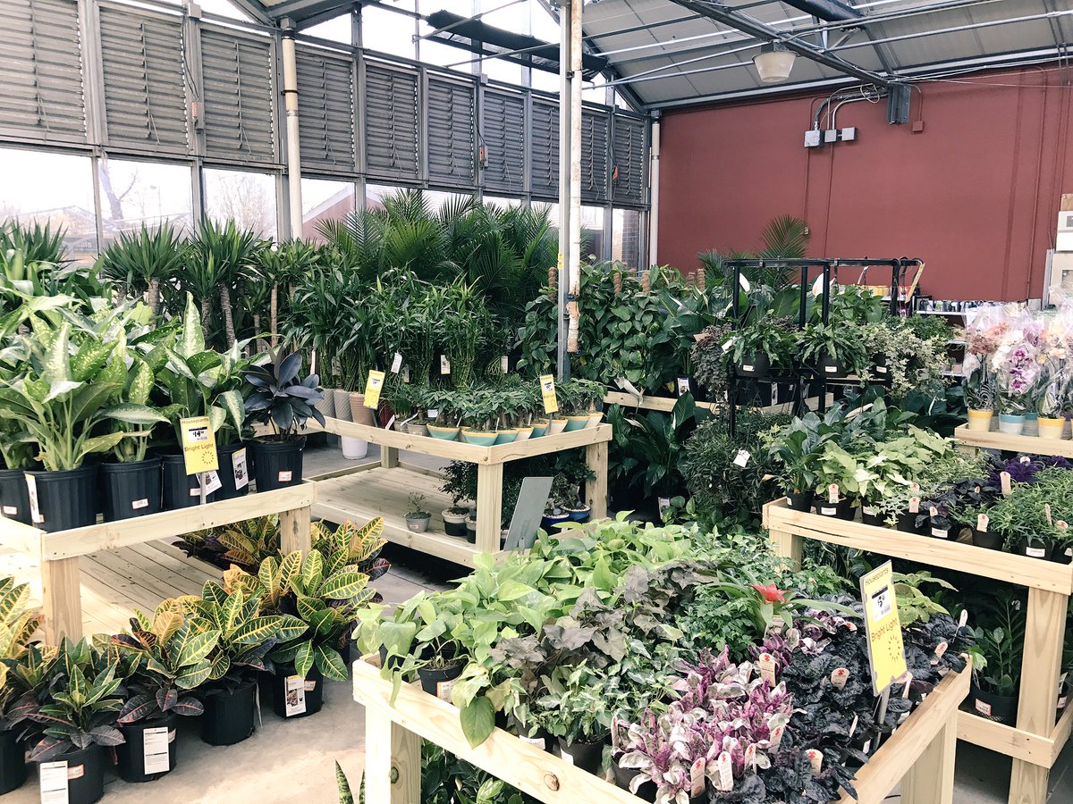 Spring has Sprung @ Store 131! Live goods are blooming and booming!#D1MakingaDifference <a href="/KMTovey/">Keith Tovey</a> <a href="/RussellCross04/">Russell Cross</a> <a href="/FarrBrannon/">DaveDj2007.eth</a> <a href="/CharlieHHong/">Ji Charlie Hong</a>