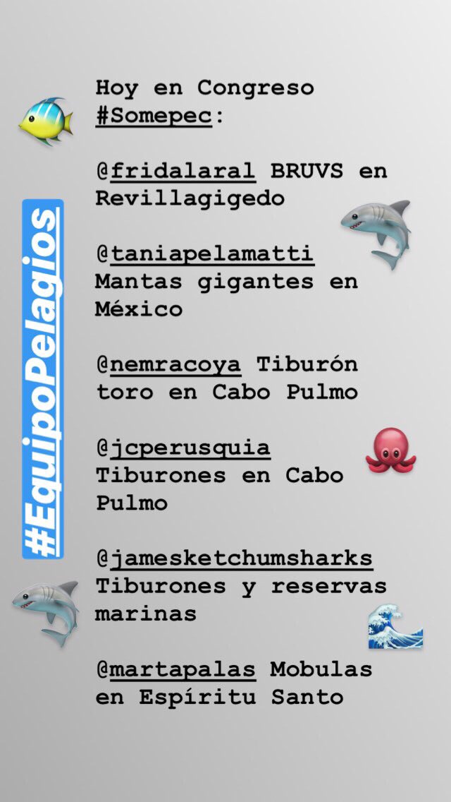 PelagiosKakunja's tweet photo. ¡Ayer tuvimos un excelente día en el Congreso #Somepec! El #EquipoPelagios presentó resultados de investigaciones sobre #tiburones, #mantas y #mobulas en #CaboPulmo, #Revillagigedo, #BahíaDeLaPaz y #CaboSanLucas. ¡Felicidades a todos! 🦈 https://t.co/YTqXLPLl6b