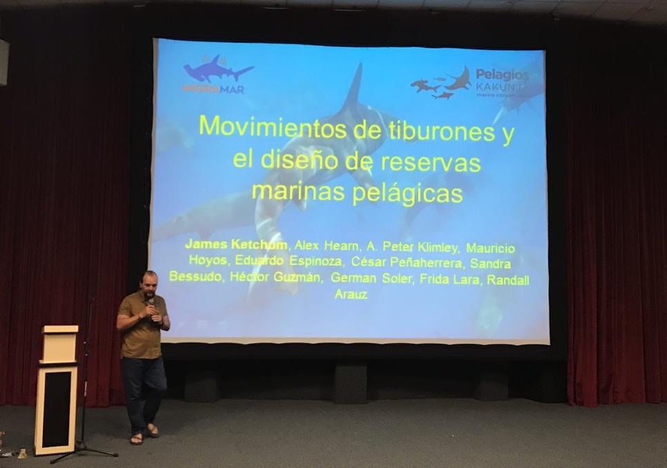 PelagiosKakunja's tweet photo. ¡Ayer tuvimos un excelente día en el Congreso #Somepec! El #EquipoPelagios presentó resultados de investigaciones sobre #tiburones, #mantas y #mobulas en #CaboPulmo, #Revillagigedo, #BahíaDeLaPaz y #CaboSanLucas. ¡Felicidades a todos! 🦈 https://t.co/YTqXLPLl6b