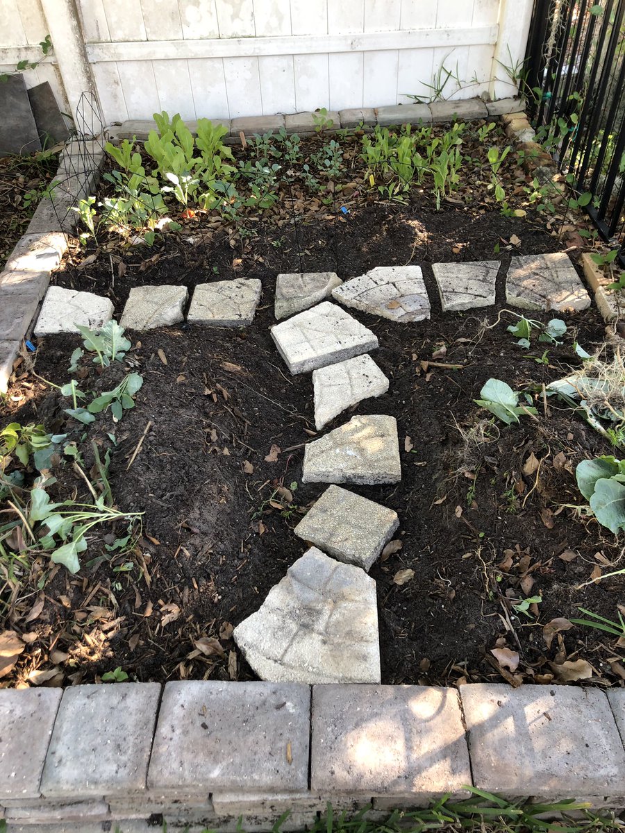leemo428's tweet photo. @JennaJulien @Jenna_Marbles i think you’d enjoy my big backyard garden. I do mostly fruits and vegetables but the sky’s the limit. Insta garden.variety.gay https://t.co/1JaW8vu3Bq